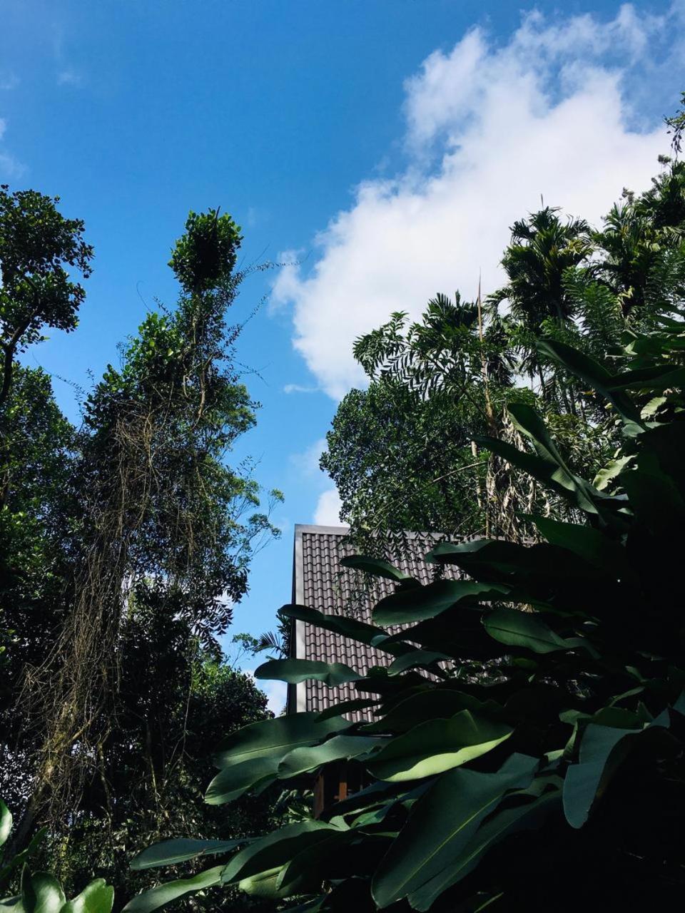 लॉज The Jungle *