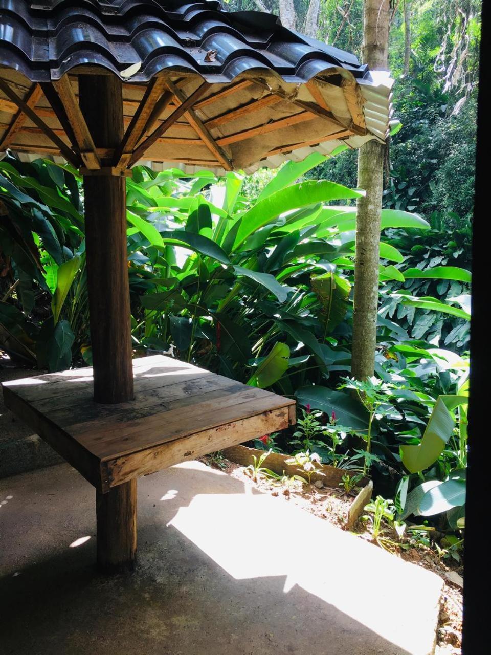 The Jungle *