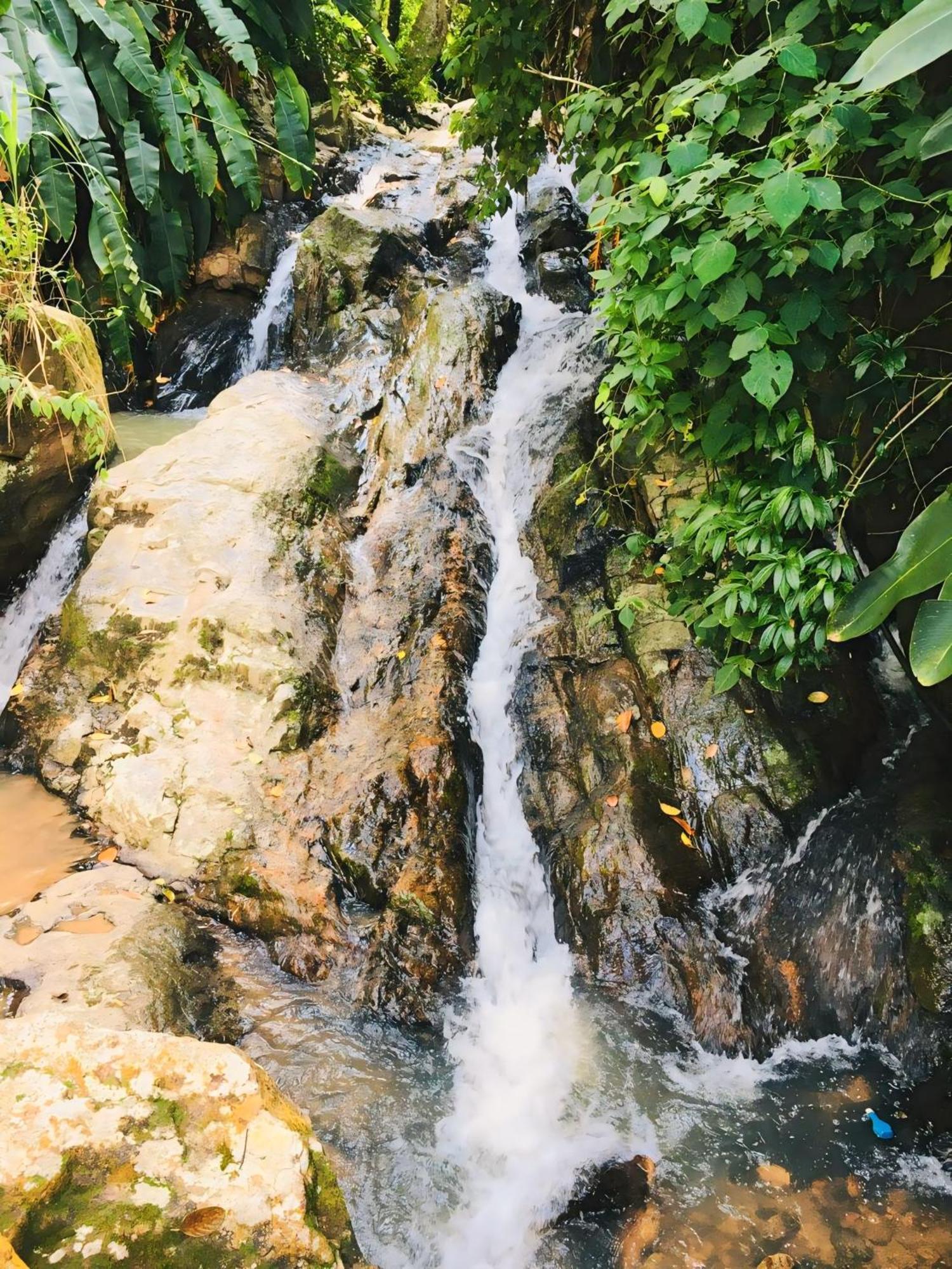 Lodge The Jungle *