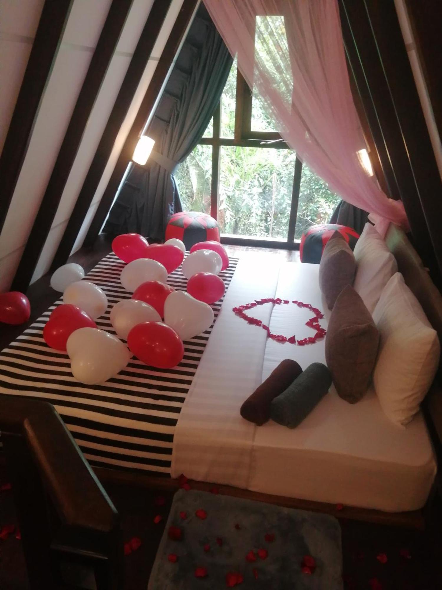 The Jungle Lodge *