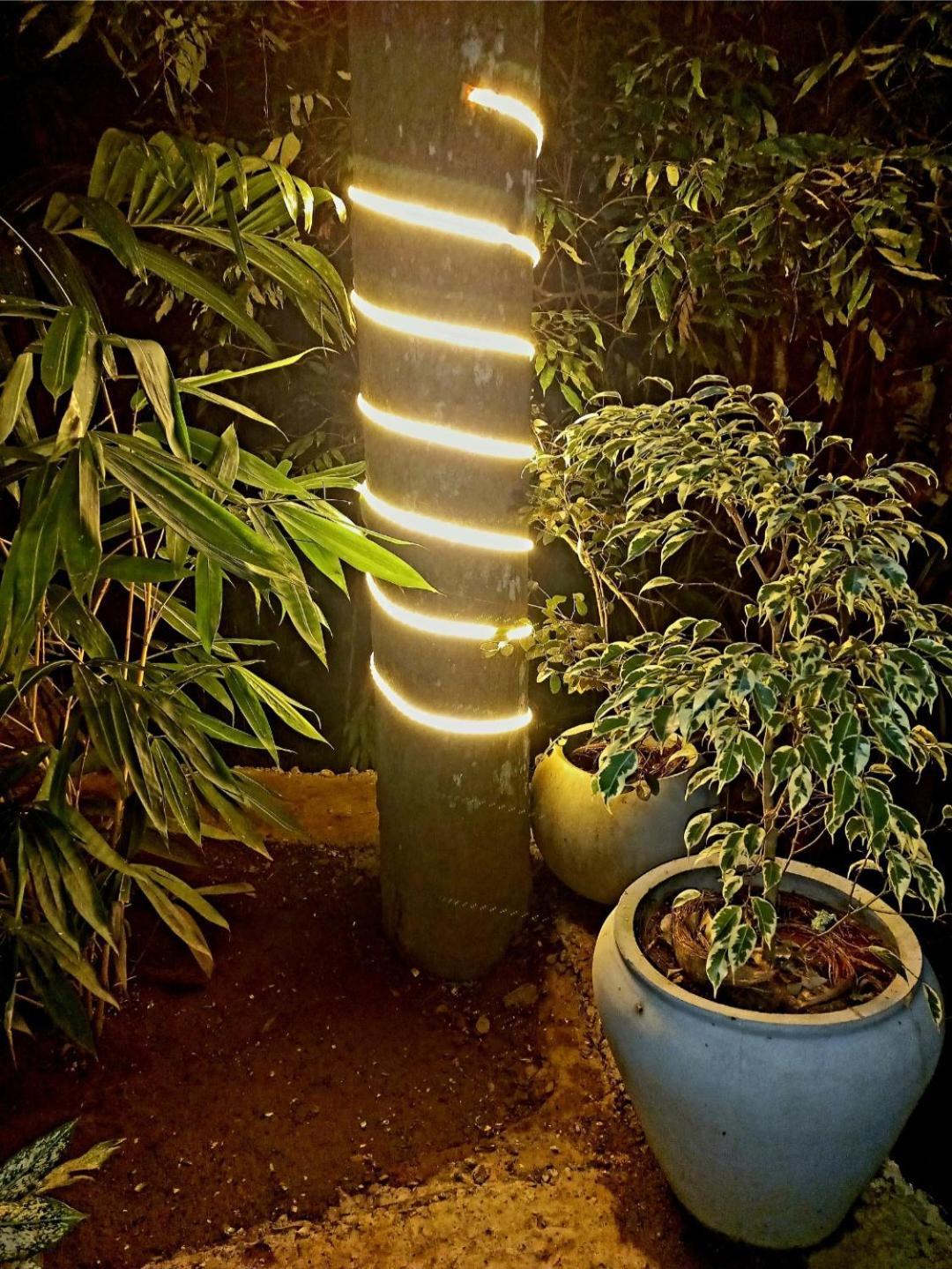 लॉज The Jungle *