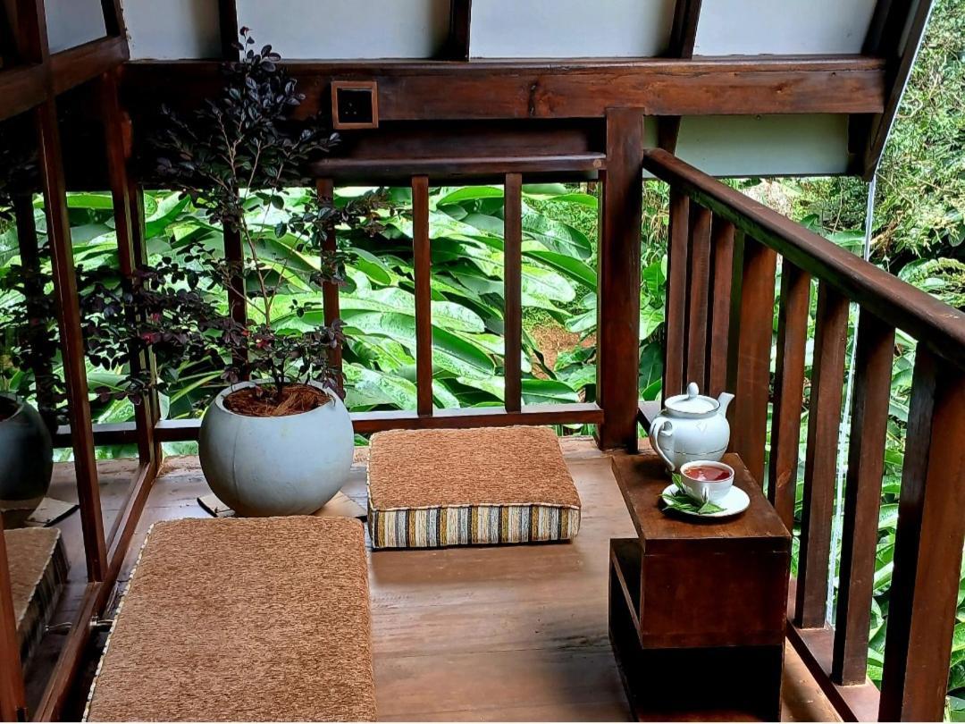 The Jungle Lodge