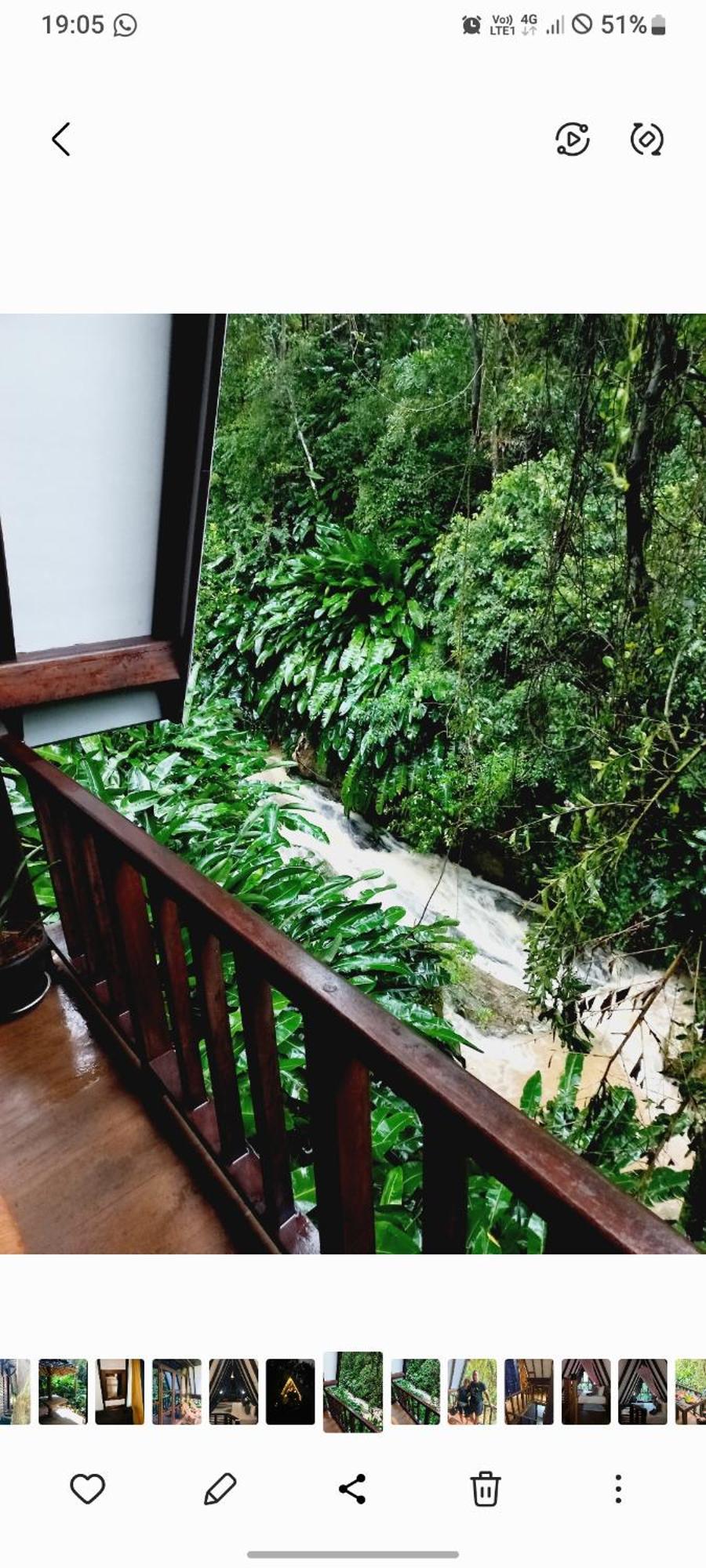 Lodge The Jungle