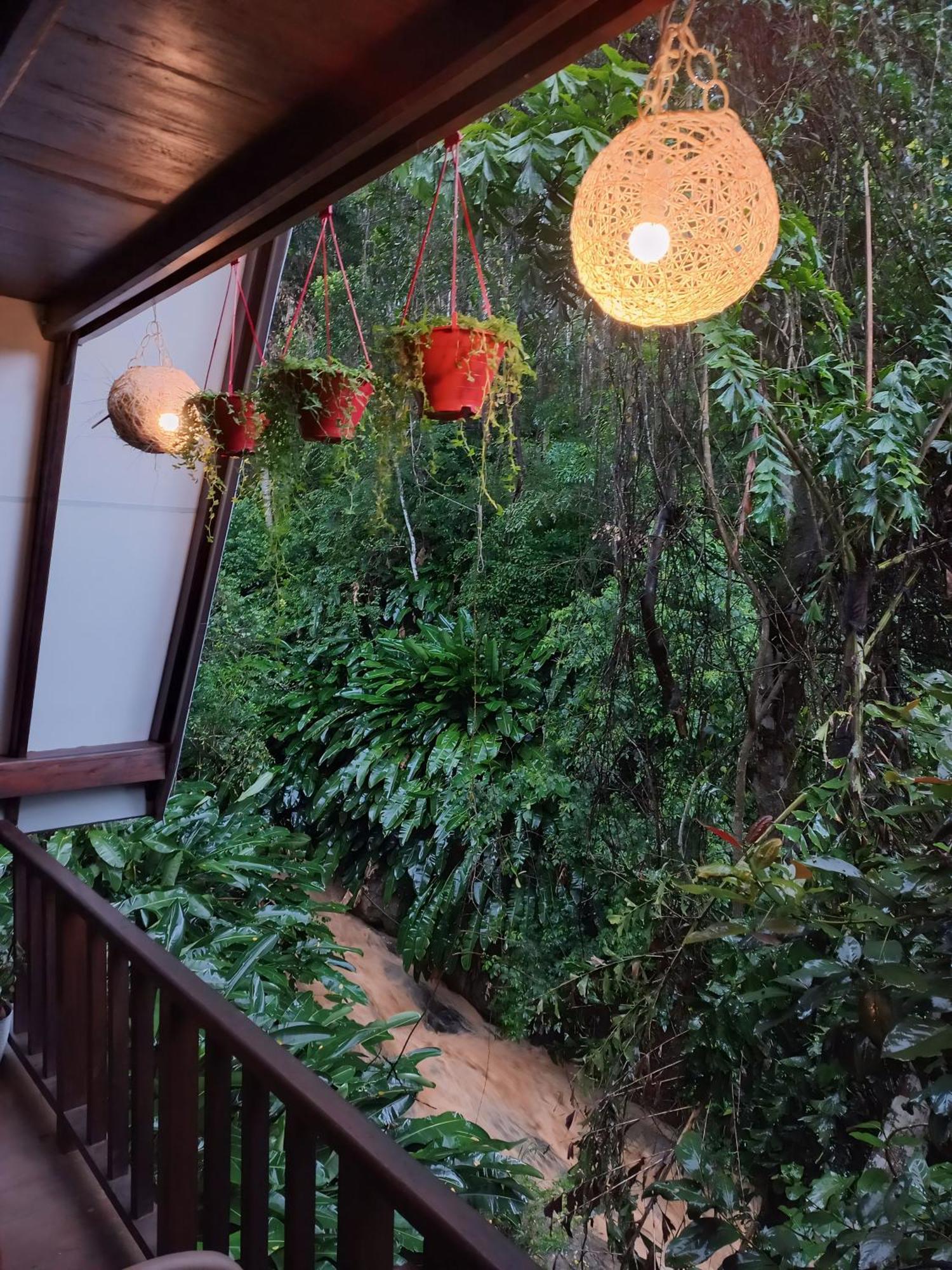 The Jungle
